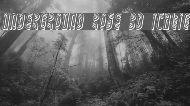 Underground Rose 3D Italic Font examples