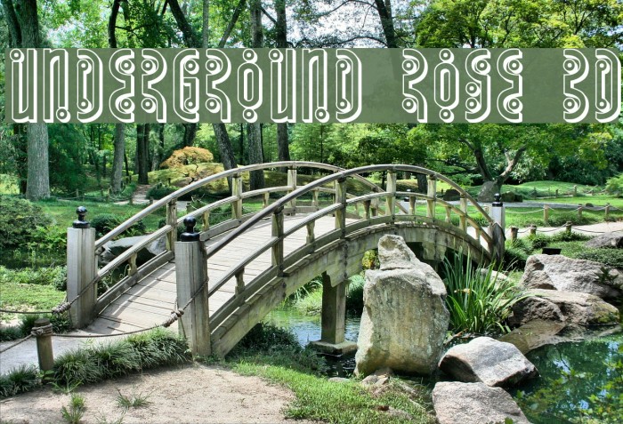 Underground Rose 3D Font examples