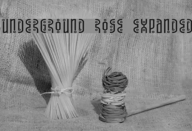 Underground Rose Expanded Font examples