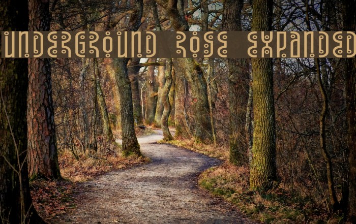 Underground Rose Expanded Font examples