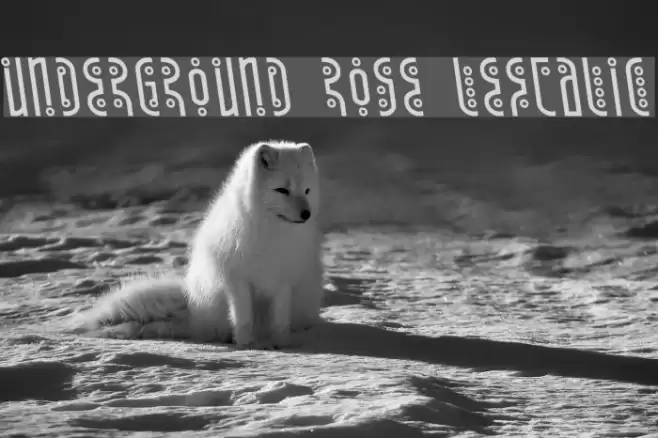 Underground Rose Leftalic Font examples