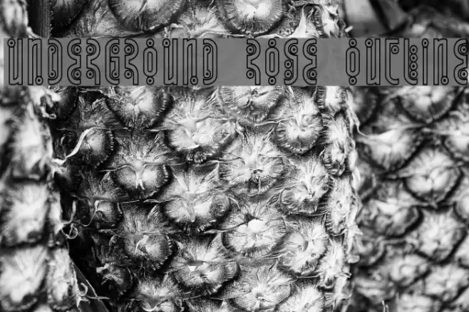 Underground Rose Outline Font examples