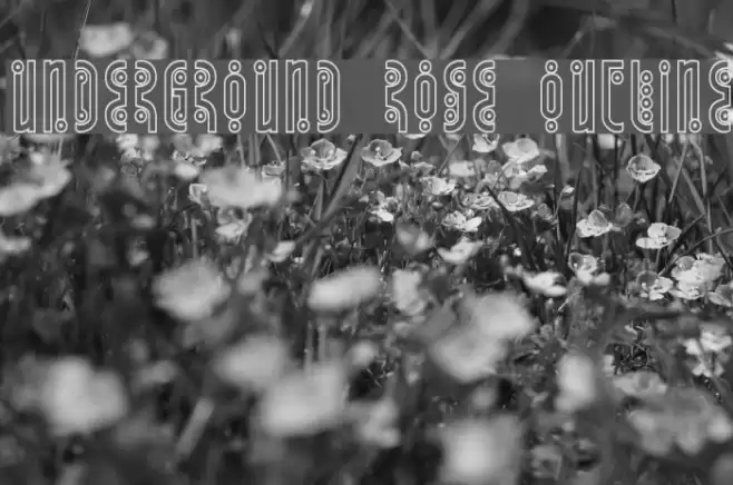 Underground Rose Outline Font examples