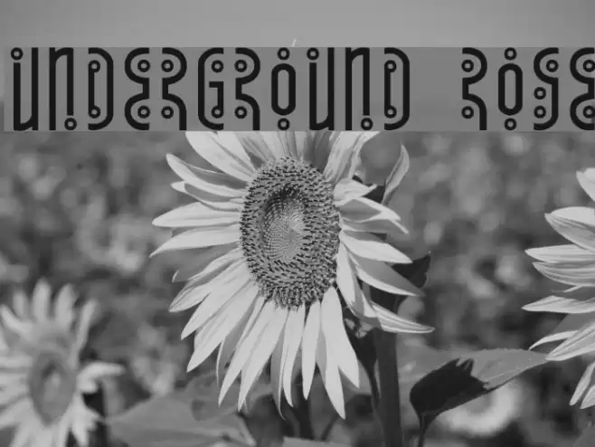 Underground Rose Font examples