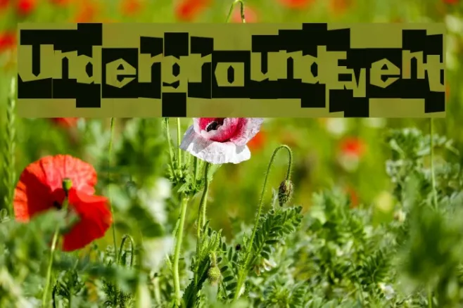 UndergroundEvent Example 2