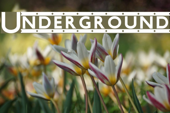 Underground Font examples