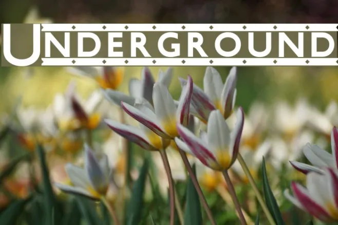 Underground Example 1