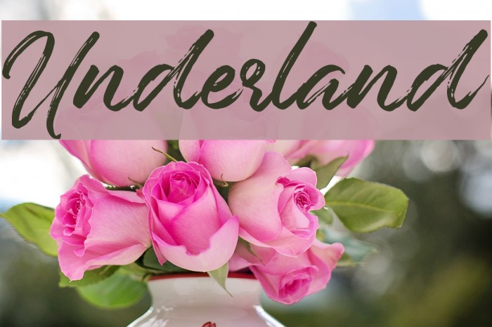 Underland Font examples
