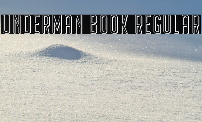 Underman Book Regular Example 2