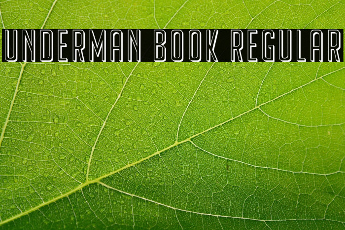 Underman Book Regular Example 3