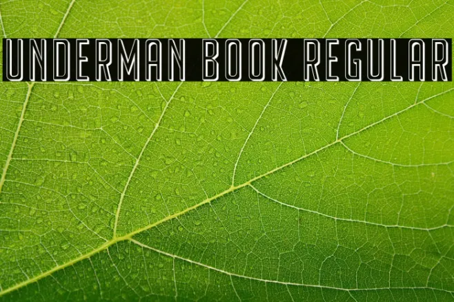 Underman Book Regular Example 3