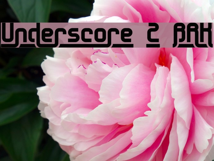 Underscore 2 BRK Font examples