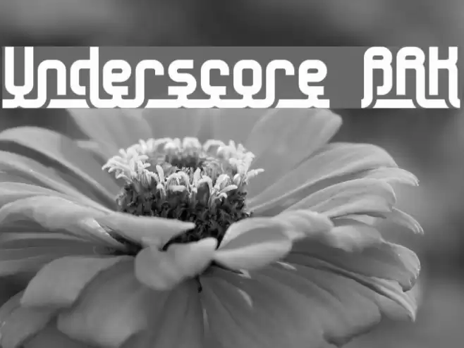 Underscore BRK Font examples