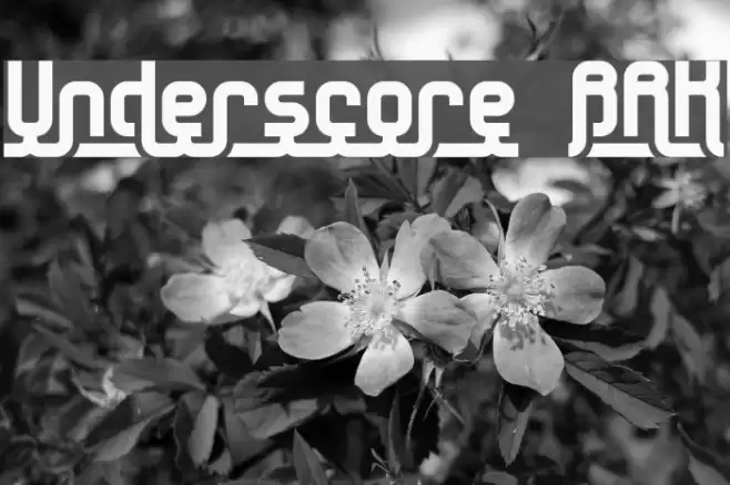 Underscore BRK Font examples