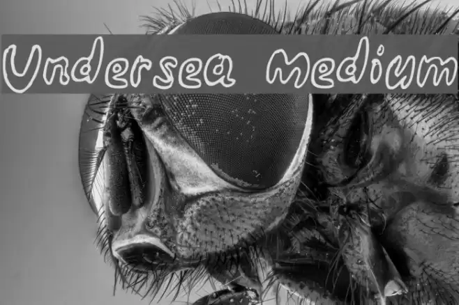 Undersea Medium Font examples