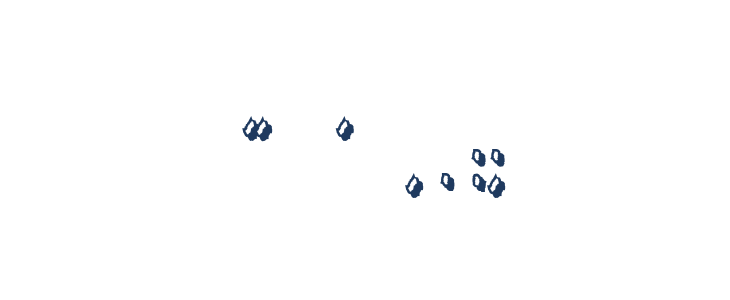 Undertaker Other Characters