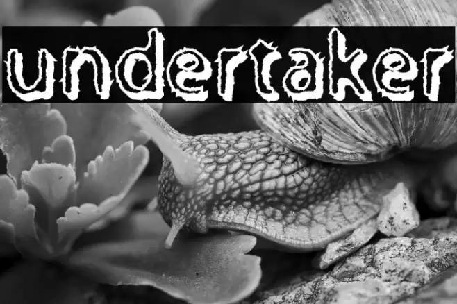Undertaker Font examples
