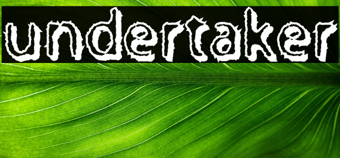 Undertaker Example 3