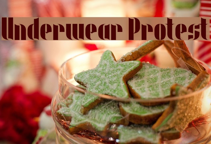 Underwear Protest Example 2