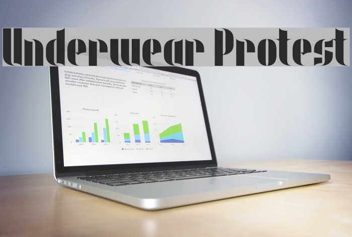 Underwear Protest Example 3