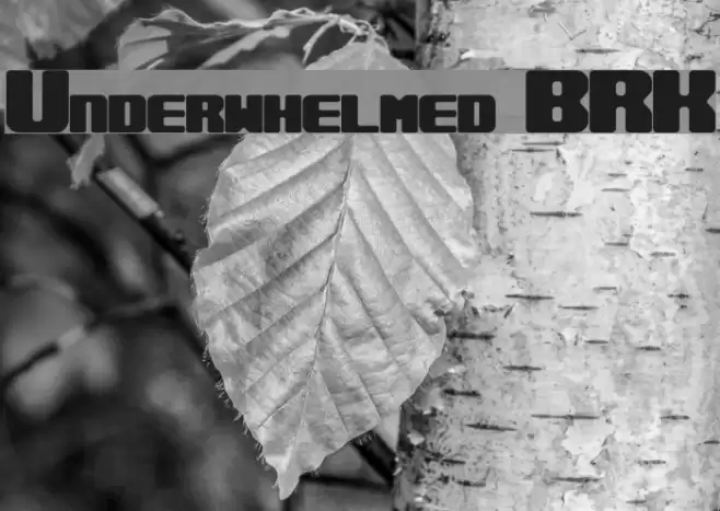 Underwhelmed BRK Font examples