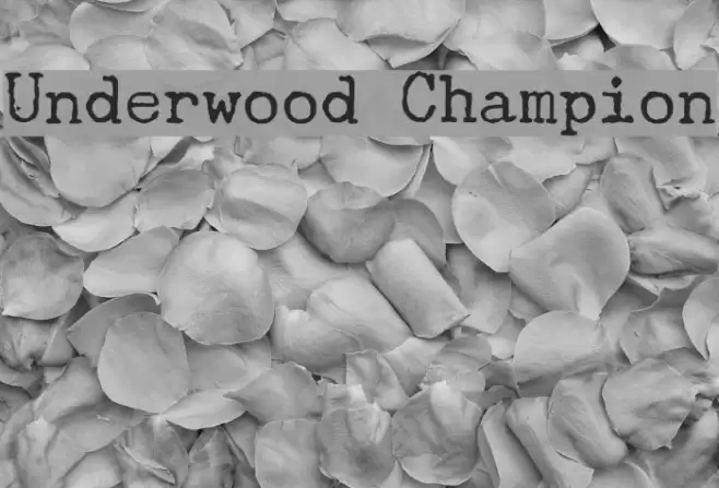 Underwood Champion Font examples