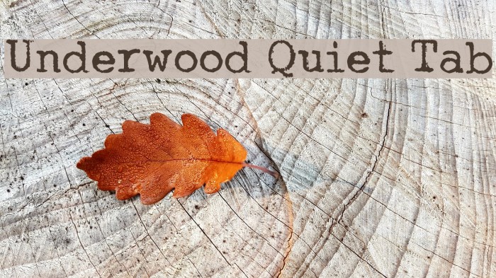 Underwood Quiet Tab Font examples