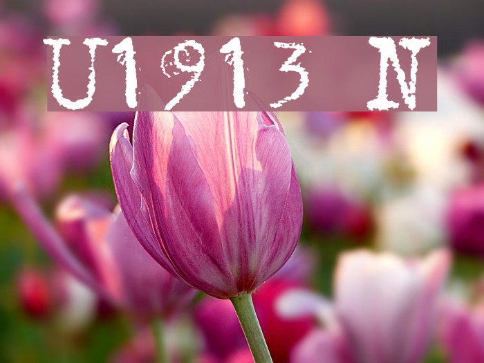 Underwood1913 Normal Font examples
