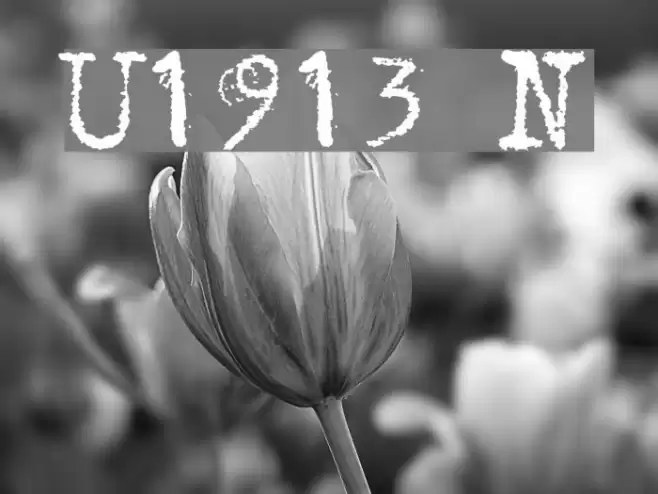 Underwood1913 Normal Font examples