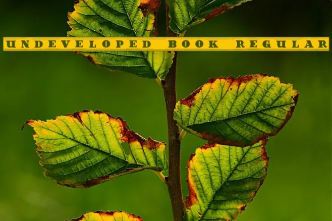 Undeveloped Book Regular Example 2