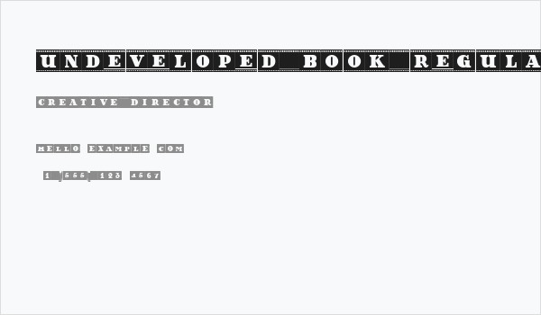 Undeveloped Book Regular Business Card