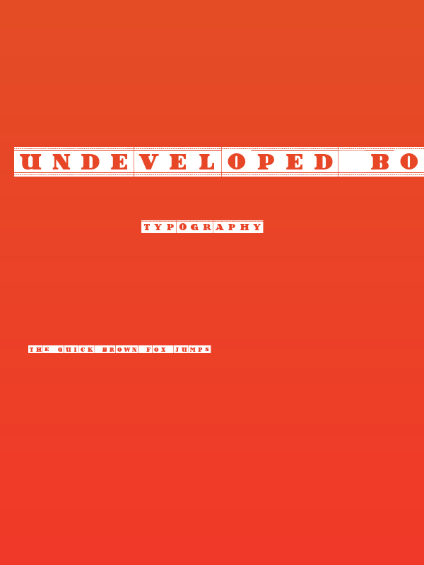 Undeveloped Book Regular Poster