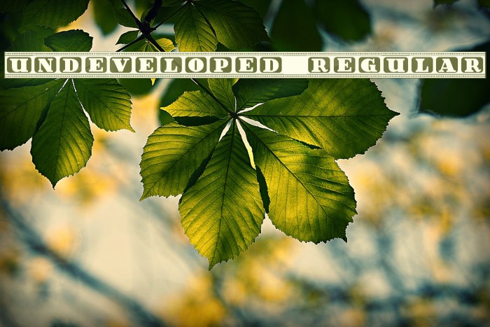 Undeveloped Regular Example 2