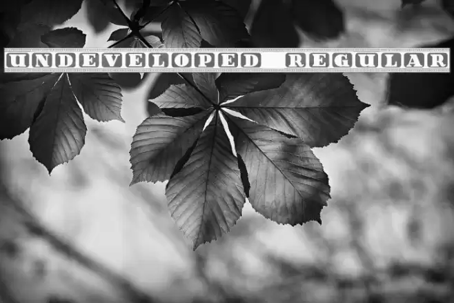 Undeveloped Regular Font examples