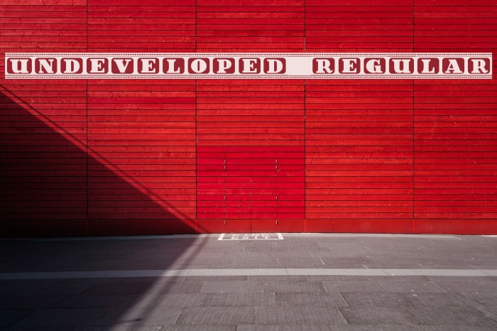 Undeveloped Regular Example 3