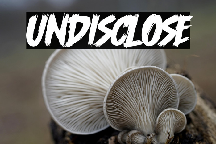 Undisclose Example 1