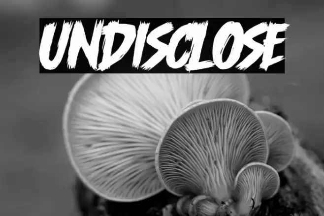 Undisclose Font examples