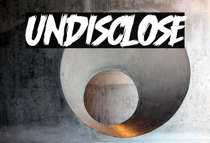 Undisclose Example 2