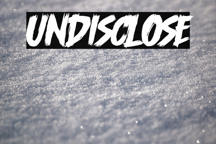 Undisclose Example 3