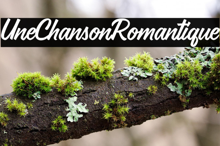 Une Chanson Romantique Example 1