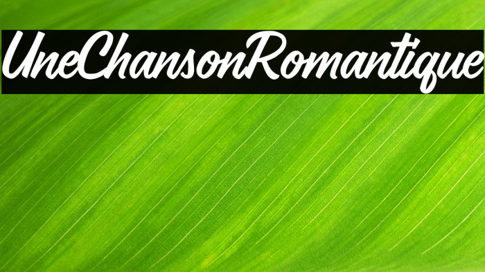Une Chanson Romantique Example 2