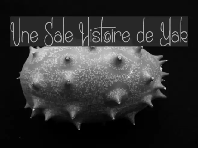 Une Sale Histoire de Yak Font examples