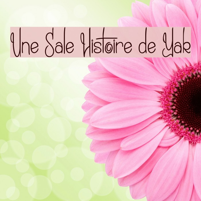 Une Sale Histoire de Yak Example 2