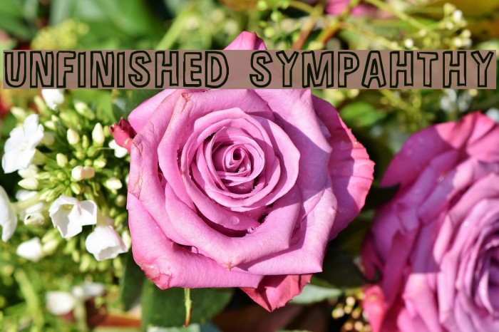 Unfinished Sympahthy フォント examples
