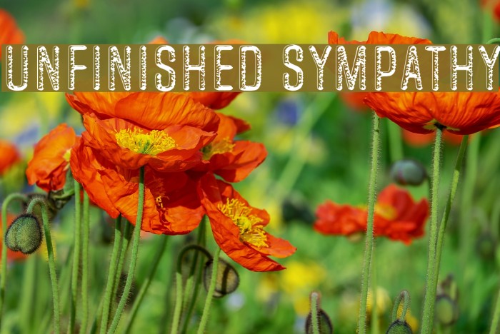 Unfinished Sympathy Font examples