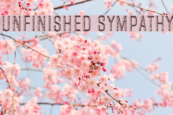 Unfinished Sympathy Font examples