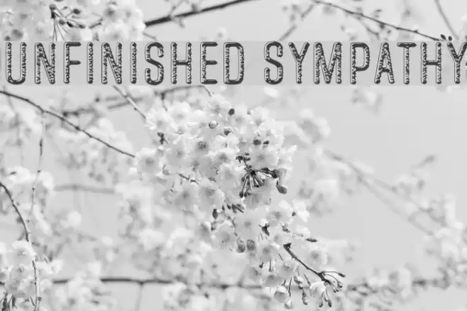 Unfinished Sympathy Font examples