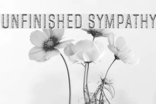 Unfinished Sympathy Font examples