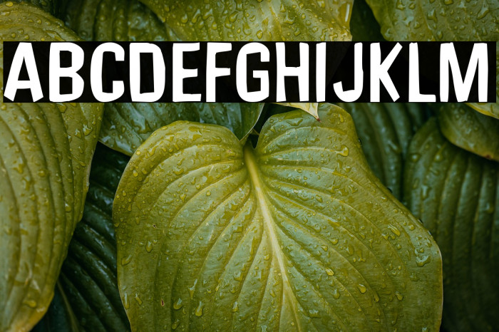 UnfinishedSympathy2 Example 2