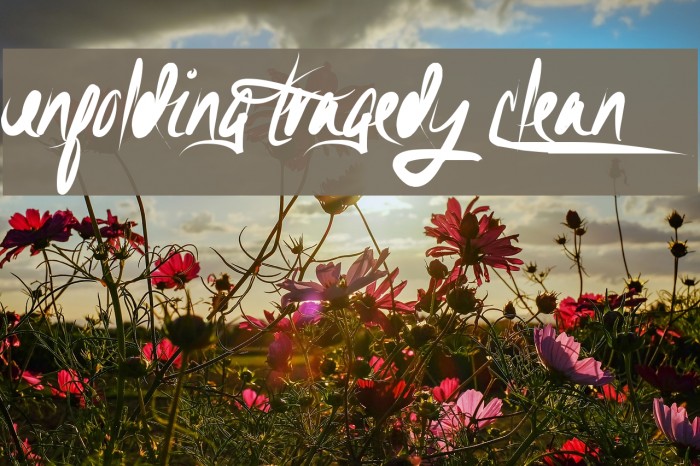 Unfolding Tragedy Clean Font examples